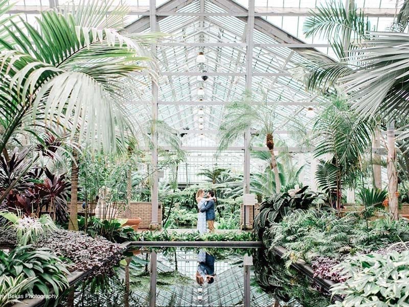 Best Greenhouse Wedding Venues In the U.S.A.